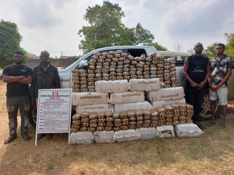 NDLEA seizes 300,000 tramadol pills from Pakistan; busts skuchies factory in Ibadan 2