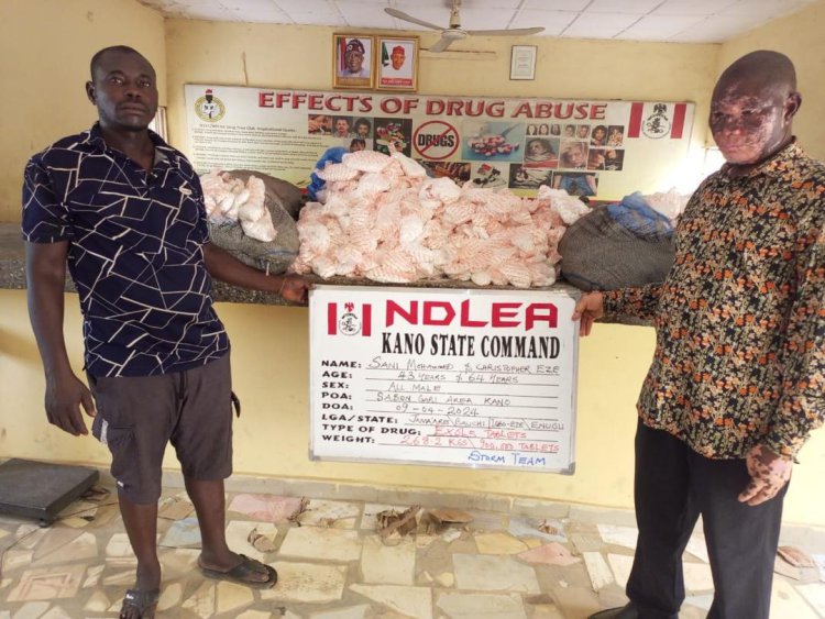 NDLEA arrests pregnant woman, widow over N3.2m counterfeit cash, lethal illicit substance 3