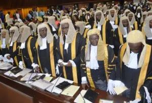 Nigeria judiciary members