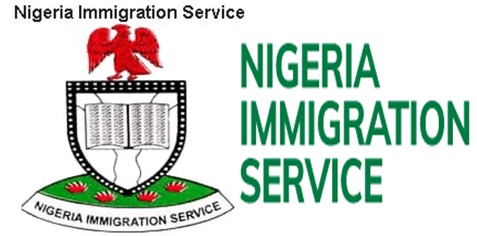 Nigeria Immigration rescues 150 human trafficking victims along Jibiya border 1 Immigration