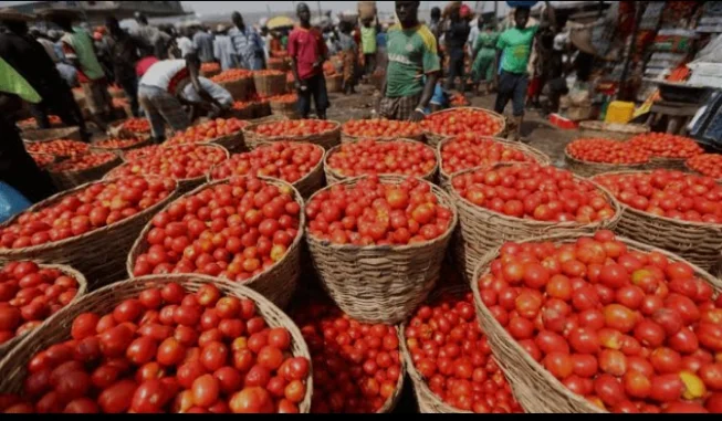 Price of tomatoes FCt 
