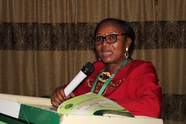 SHEN Conference: Experts call for sustainable family development 1 National President of SHEN, Prof. Elizabeth Mngusen Kembe,