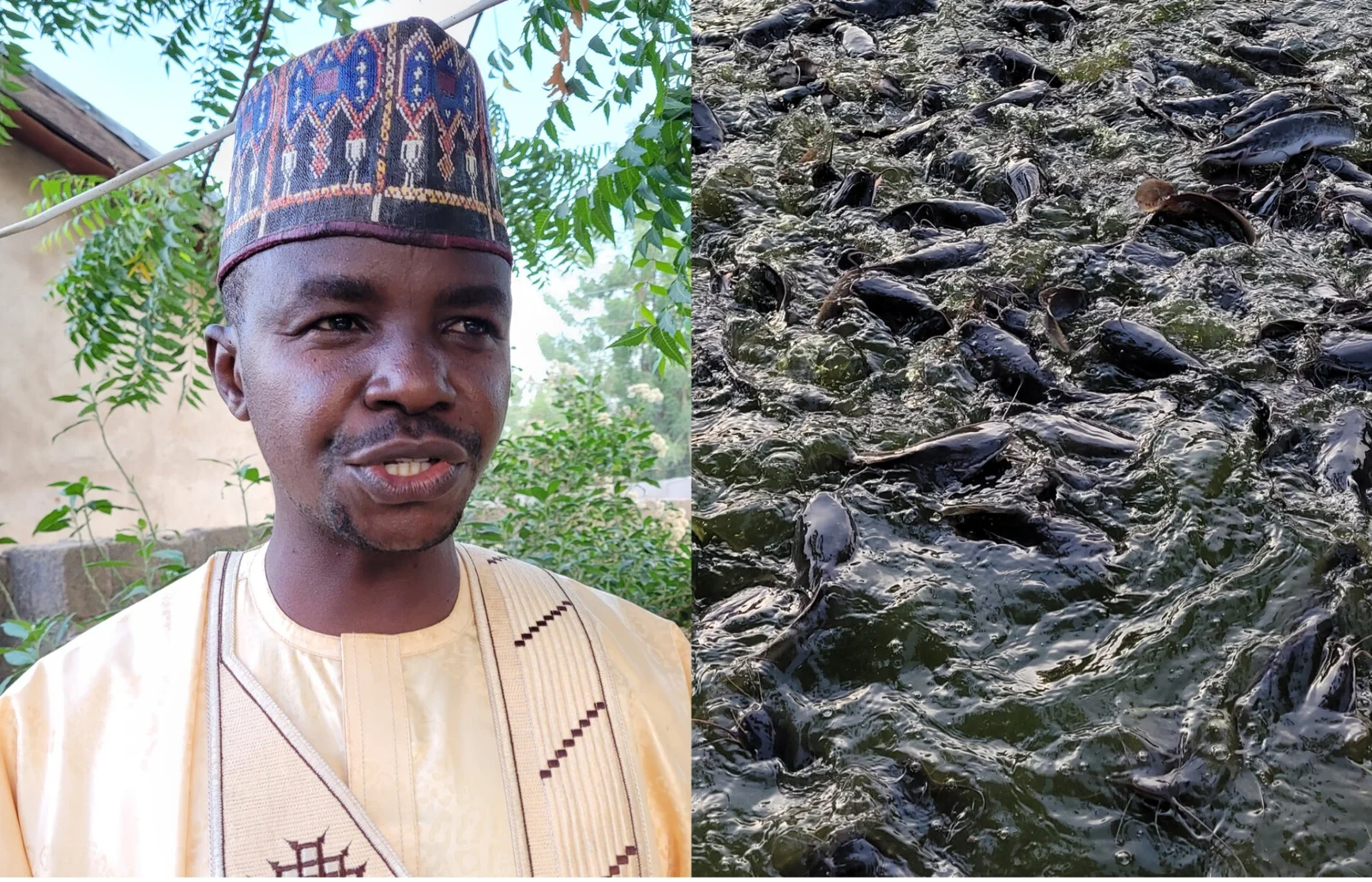 Mr Adamu Mahmuda, a civil servant in Gombe, who is into fish farming