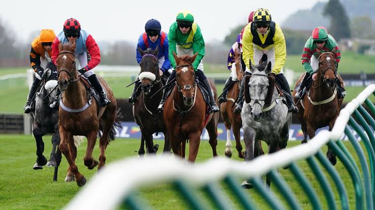 Horse racing world cup underway in Nigeria — Federation 1 Horse Racing