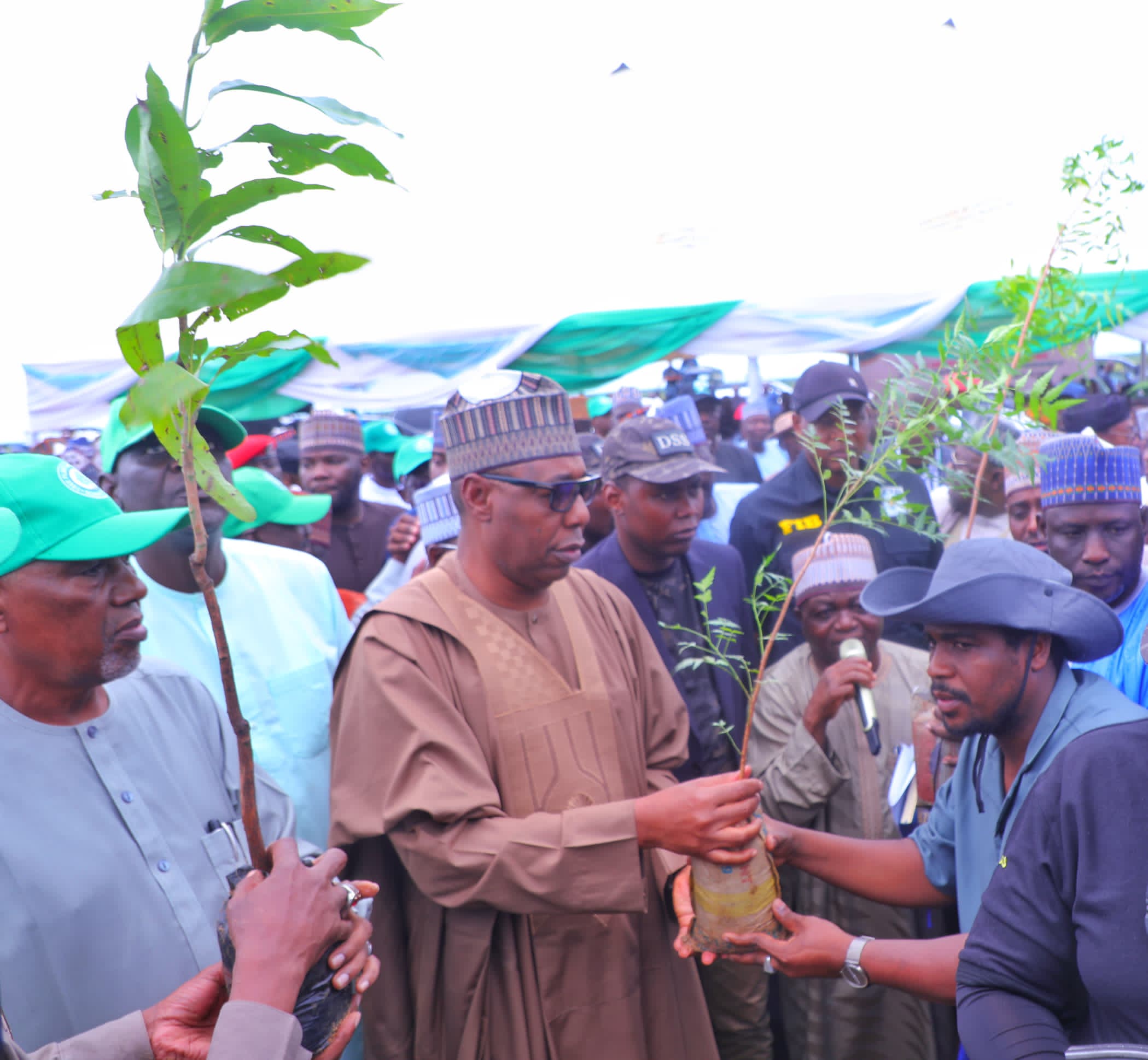 Zulum launches Borno’s 2024 tree planting with 10 million seedlings 1 IMG 20240806 WA0003
