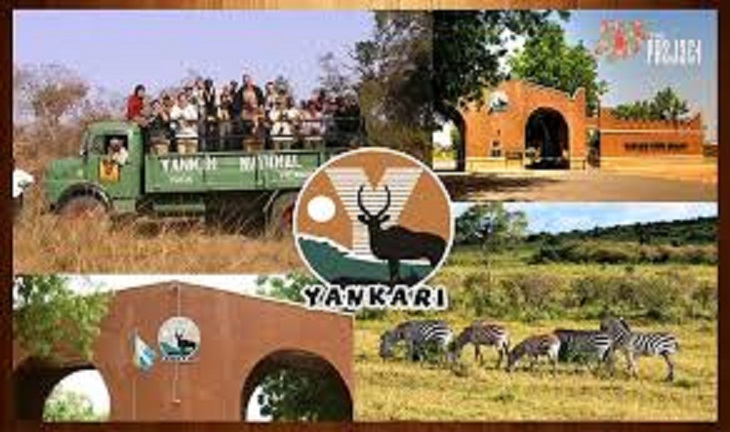 Yankari Game Reserve