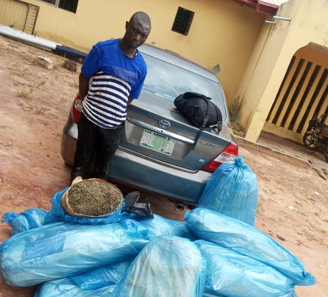 Police arrest suspected India hemp dealer with exhibit in Nasarawa 1 img tmp tag1725278090932 1