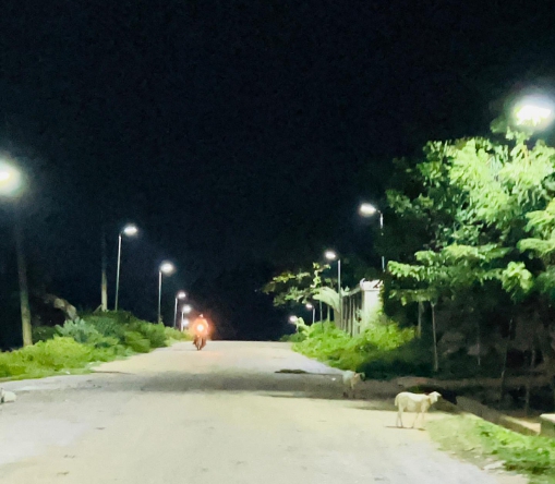 Kogi Central: Senator Natasha lights up Ege community in Adavi LGA 1 Street lights in Ege community, Adavi LGA