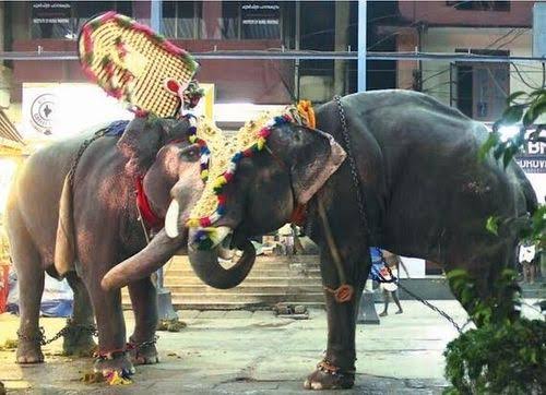 images 12 2025 01 08T124714.072