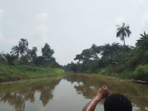 IMG 20250219 WA0060