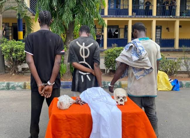 Police arrest 3 suspected ritualists with human skull in Imo 11 Ritualist arrested with human skulls