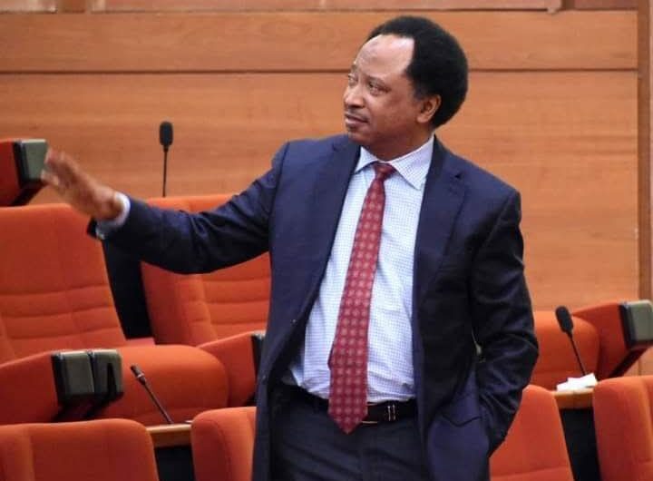 Shehu Sani: Mistakes some activists made in 1999 still affecting Nigeria’s democracy 4 Shehu Sani
