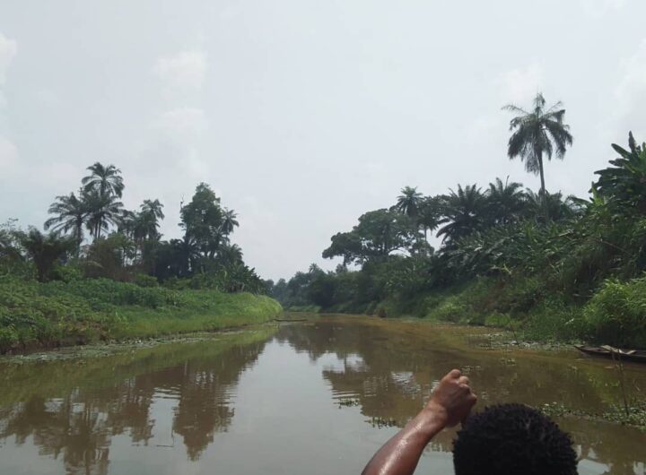 Crude oil spill in Niger Delta