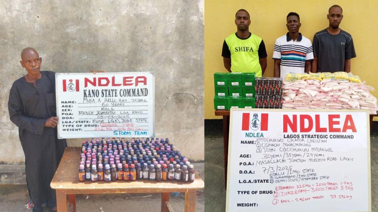 NDLEA busts cannabis candy shipment to Lagos kiddies' shop, recovers large consignments of opioids, others 3 Arrested drug suspects