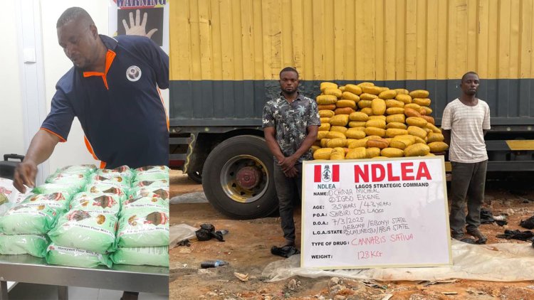 NDLEA busts cannabis candy shipment to Lagos kiddies' shop, recovers large consignments of opioids, others 2 Arrested drug suspects