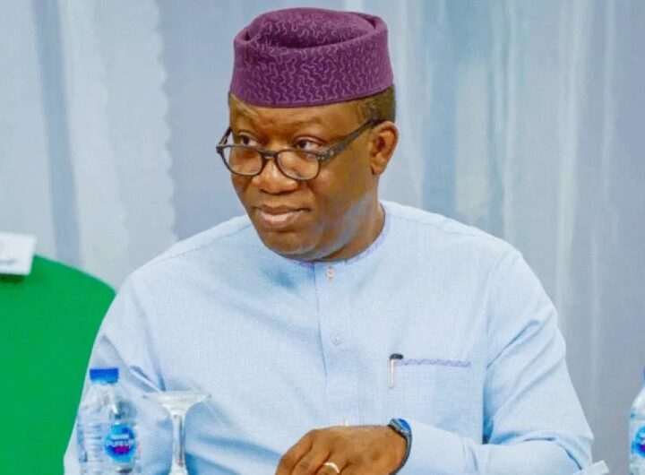 Fayemi says Nigeria yet to achieve real democracy 16 Former Ekiti State Governor, Kayode Fayemi,