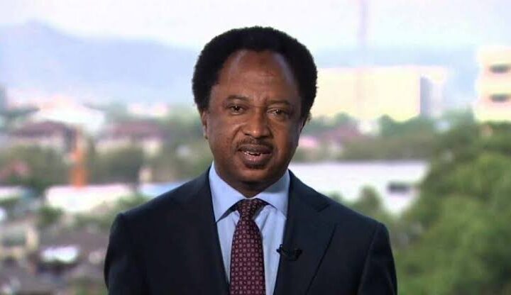Former Senator Shehu Sani