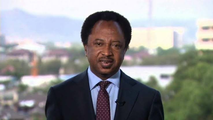 Former Senator Shehu Sani