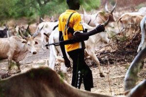 Fulani Herdsman armed with AK 47 rifle