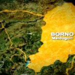 Chibok youth raises alarm over renewed Boko Haram killings, destructions 8 Borno State in North East Nigeria has been grappling with the devastating impact of Boko Haram insurgency for over 15 years.