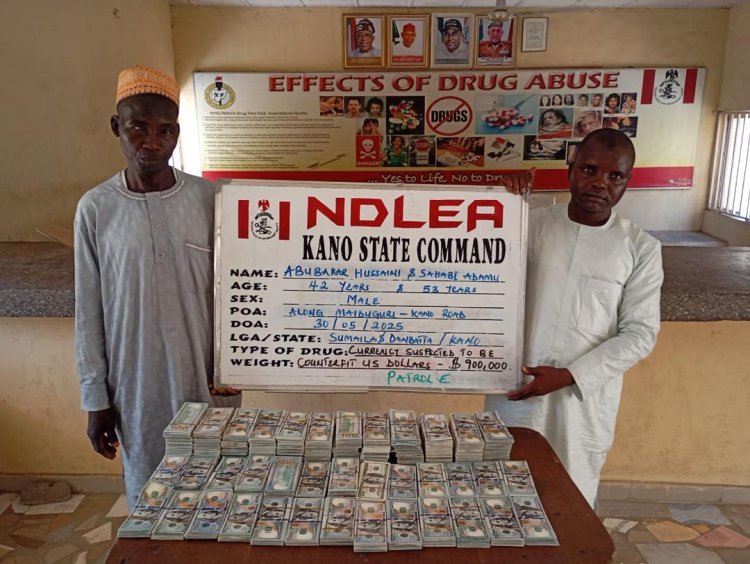 NDLEA intercepts N9.3 billion worth of opioids in Rivers 2 Drug suspects arrested by NDLEA operatives in Kano