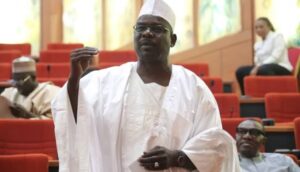 Senator Ali Ndume