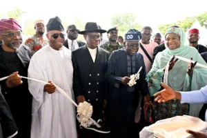 Wike renames Abuja International Conference Centre after Tinubu.