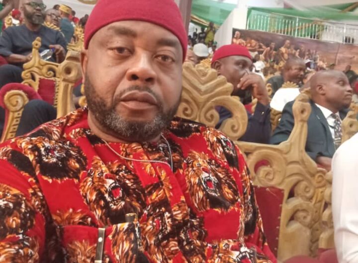 South East Group Urges Constitutional Reforms to Address Marginalization, Insecurity 4 Amb Tim Ihemadu 1