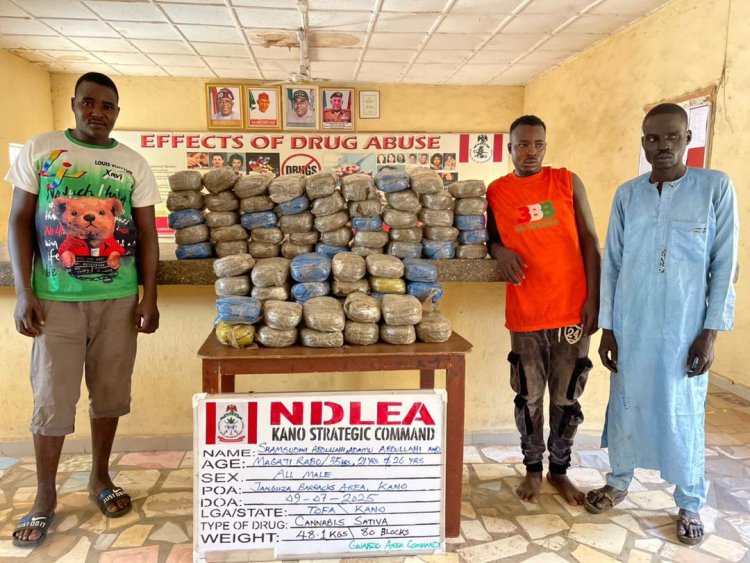 NDLEA destroys 28,000kg skunk in Edo forest; recovers 722,875 pills of opioids in Borno, Gombe, Taraba raids 4 Arrested drug suspect