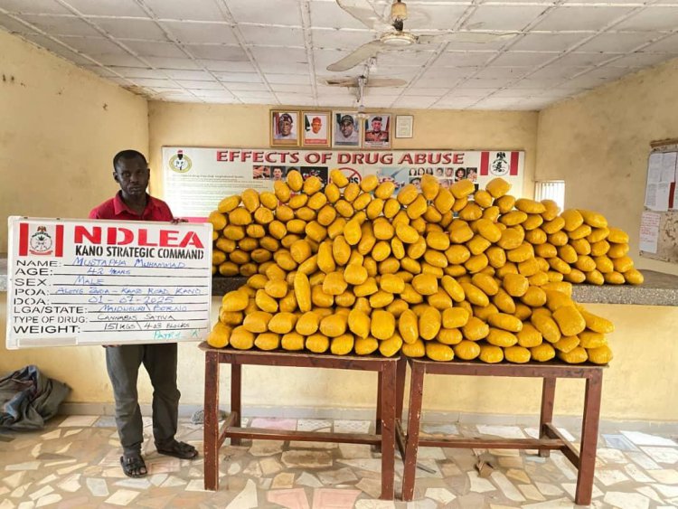 NDLEA nabs drug suspect 1