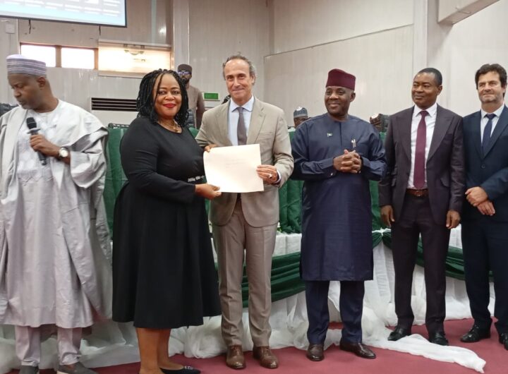 Nigeria, France launch €38m ICT project