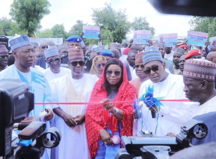 health minister unveils Zulum hospital