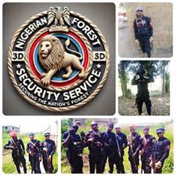Why Tinubu should sign NFSS Bill into law 1 NFFS