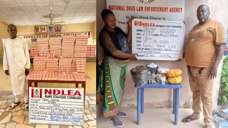 NDLEA nabs Indian businessman, 3 Nigerians in N3.9bn tramadol bust at Lagos airport