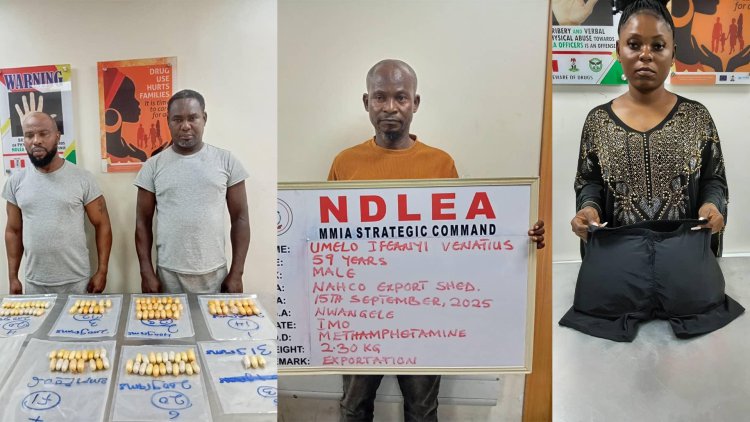 Drug suspects arrested by NDLEA at Lagos airport 