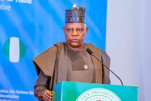 VP Kashim Shettima
