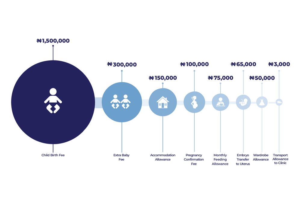 How Facebook, misinformation, legal loopholes throw Nigerian women into surrogacy ditch 9 Picture 9 An infographic representation of the breakdown of the N2243000 payment plan