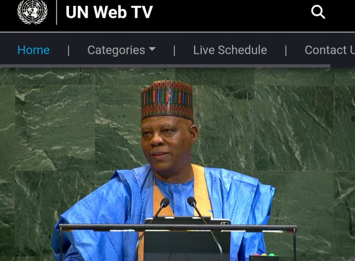 VP Kashim Shettima