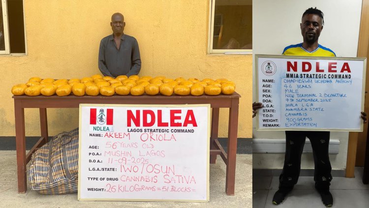 NDLEA nabs Indian businessman, 3 Nigerians in N3.9bn tramadol bust at Lagos airport