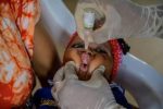 Immunization and vaccination
