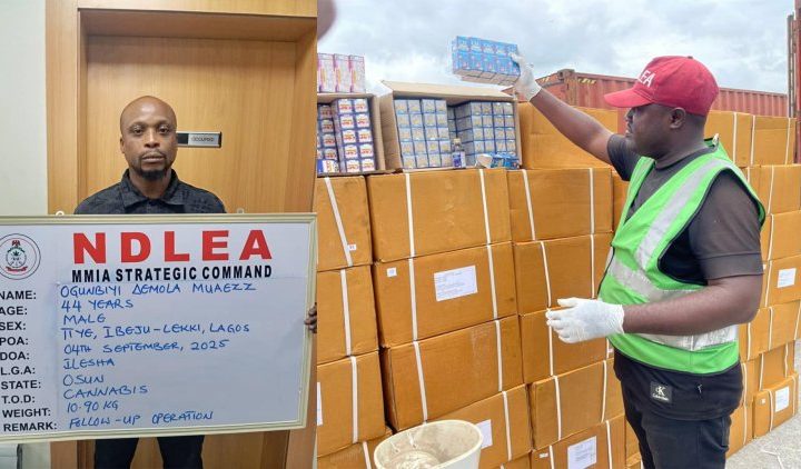 ndlea intercepts tramadol
