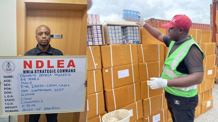 NDLEA intercepts N1.1bn codeine consignment in Rivers; recovers 653kg colos, loud in Lagos, Abuja raids 1 ndlea intercepts tramadol