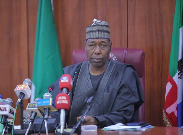 Zulum unveils plan for Borno State-owned electricity outfit