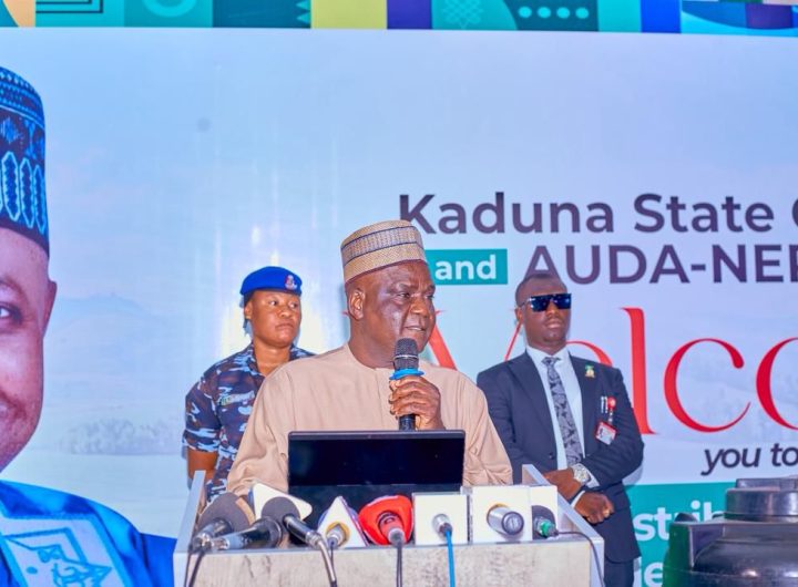 Kaduna, AUDA–NEPAD empower 400 smallholder farmers