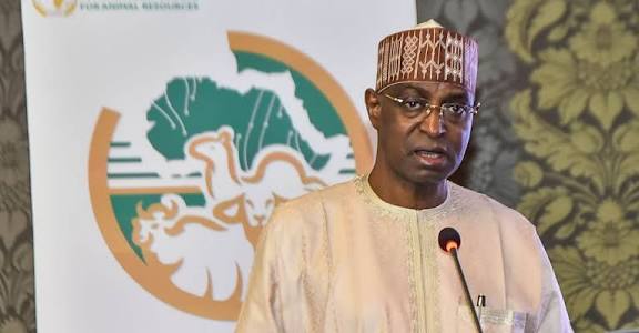 Nigeria's Minister of Livestock Development, Dr Idi Maiha