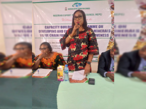 NEPC tasks Plateau solid-mineral stakeholders on developing sector 4 NEPC tasks Plateau solid-mineral stakeholders on developing sector