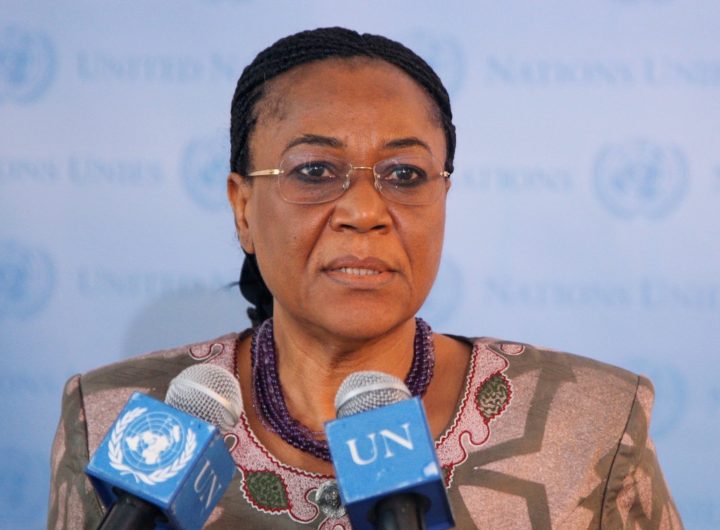 Ambassador Joy Uche Angela Ogwu,