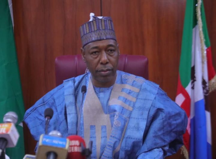 Borno Governor Zulum