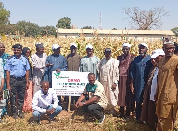 Ecobasic Seed, ABU urge farmers to embrace modern seed technology to tackle food insecurity