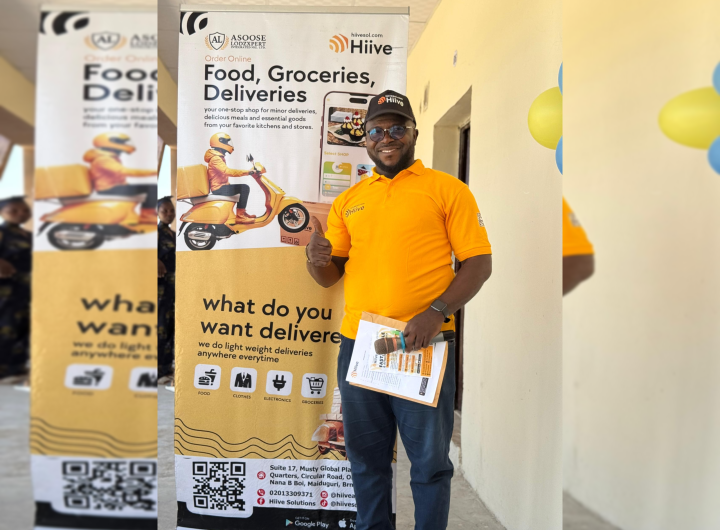 Foundation launches e-commerce, local deliveries platform in Borno